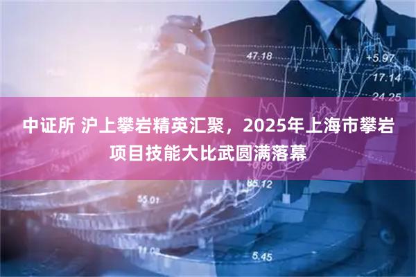 中证所 沪上攀岩精英汇聚，2025年上海市攀岩项目技能大比武圆满落幕