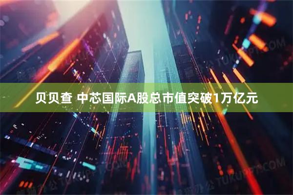 贝贝查 中芯国际A股总市值突破1万亿元