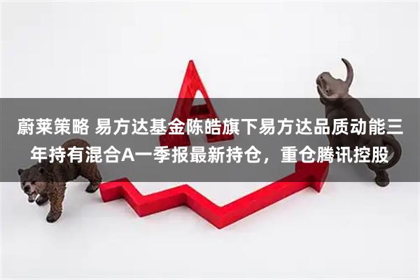 蔚莱策略 易方达基金陈皓旗下易方达品质动能三年持有混合A一季报最新持仓，重仓腾讯控股