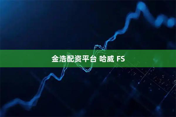 金浩配资平台 哈威 FS