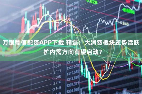 万银鼎信配资APP下载 鞠磊：大消费板块逆势活跃  扩内需方向有望启动？